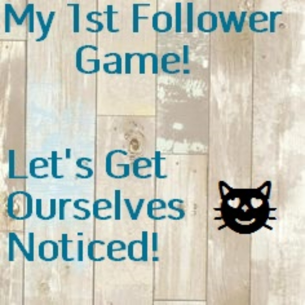 FOLLOW GAME!!!!!!!! - Picture 2 of 2
